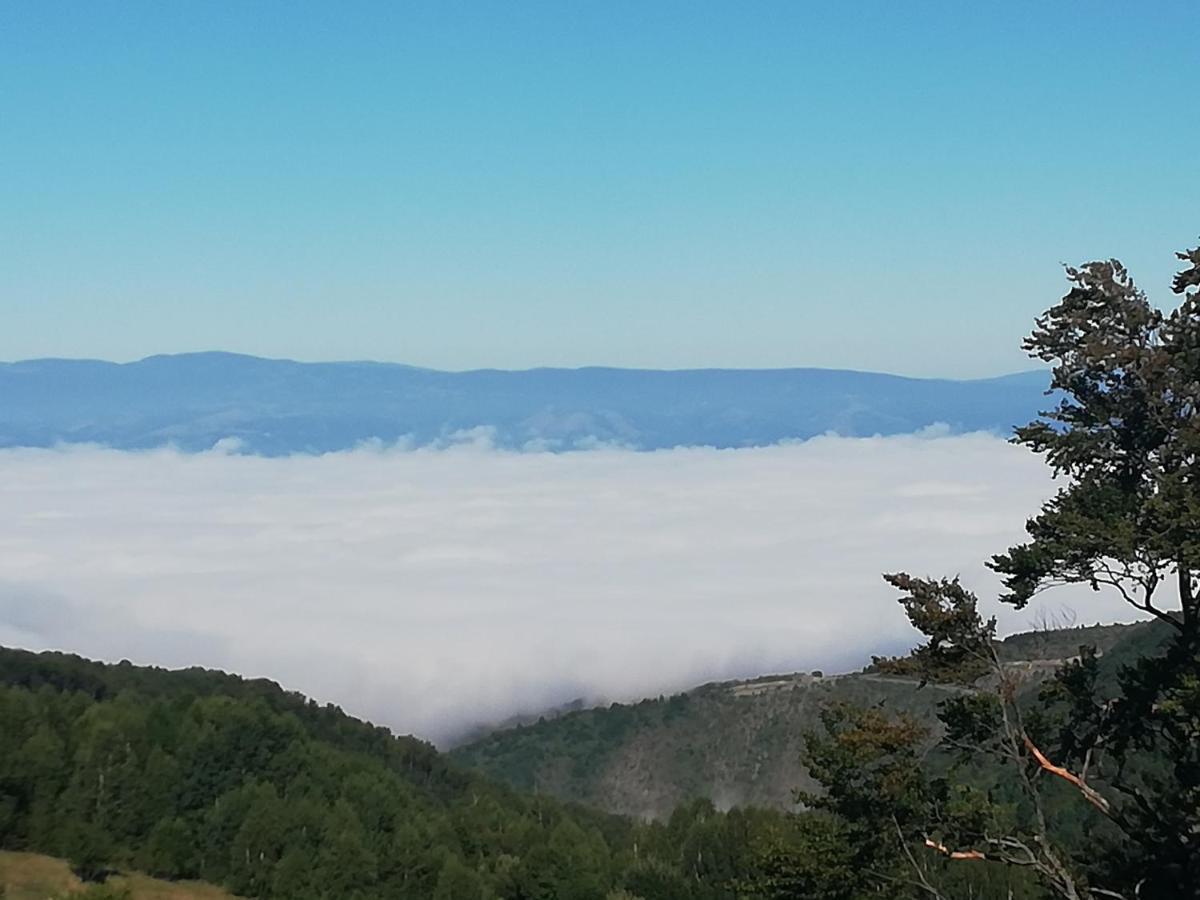 Apartman Adelfes P16, Milmari Resort Kopaonik Luaran gambar